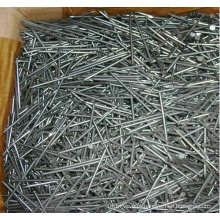 Galvanizado Wire Concrete Nail / Fastener Hardware